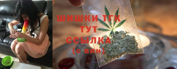 бошки Богородицк