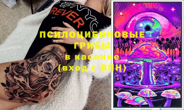 бошки Богородицк