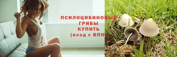 а пвп мука Богданович